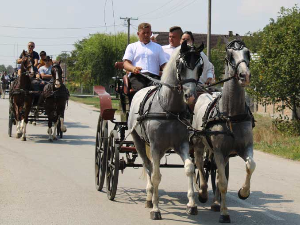 Шеста Фијакеријада окупила у Дреновцу љубитеље коња и традиције 