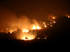 Пожари у Грчкој и Албанији, евакуисана села и хапшења због подметања ватре