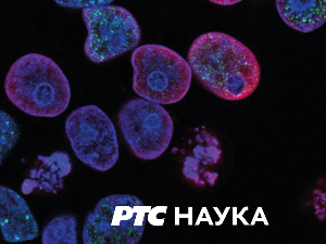 Културна баштина Србије:  	 Радан – парк природе, 1. део