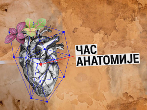 Час анатомије: Декаденција