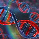 Нови број часописа „Елементи” – откриће структуре ДНК