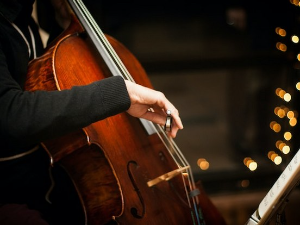 Виолончелиста Албан Герхард