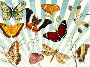 Добро јутро децо: Прича о лептирима