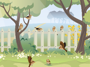 Добро јутро децо: Птице