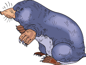 Добро јутро децо: Верујем, јер је бесмислено