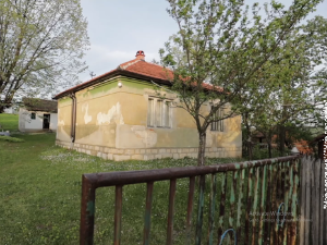 Моја дедовина: Флаутискиња се вратила из Италије