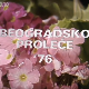 Тихо ноћи - ,,Београдско пролеће‘‘, 1976.