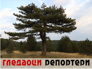 Гледаоци репортери (17. септембар 2023.)