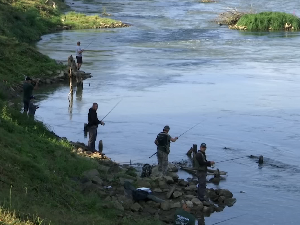 Риболовци из земље и суседних земаља на обалама Мораве у Ћуприји