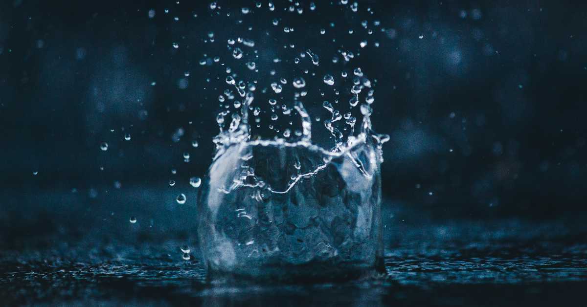 „Киша - неиспричана прича”