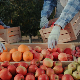 Министарство пољопривреде: Србији није забрањен извоз воћа у ЕУ