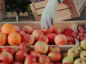 Министарство пољопривреде: Србији није забрањен извоз воћа у ЕУ