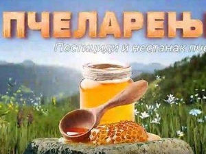 Еко минијатуре: Пчеларење