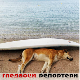 Гледаоци репортери (23. септембар 2023.) Гледаоци репортери (23. септембар 2023.)