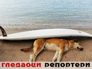 Гледаоци репортери (23. септембар 2023.) Гледаоци репортери (23. септембар 2023.)