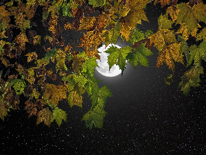 Ритам ноћи