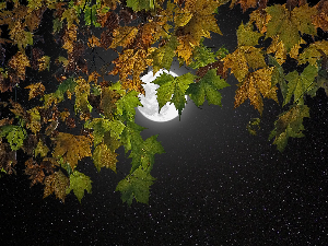 Ритам ноћи