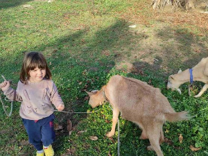 Квадратура круга: Најмлађе планинско село у Србији