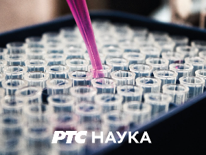 Професионалци:	Лука Будисављевић, шаховски велемајстор