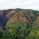 Светска културна баштина Јапана: Острво древне шуме, 5-5 