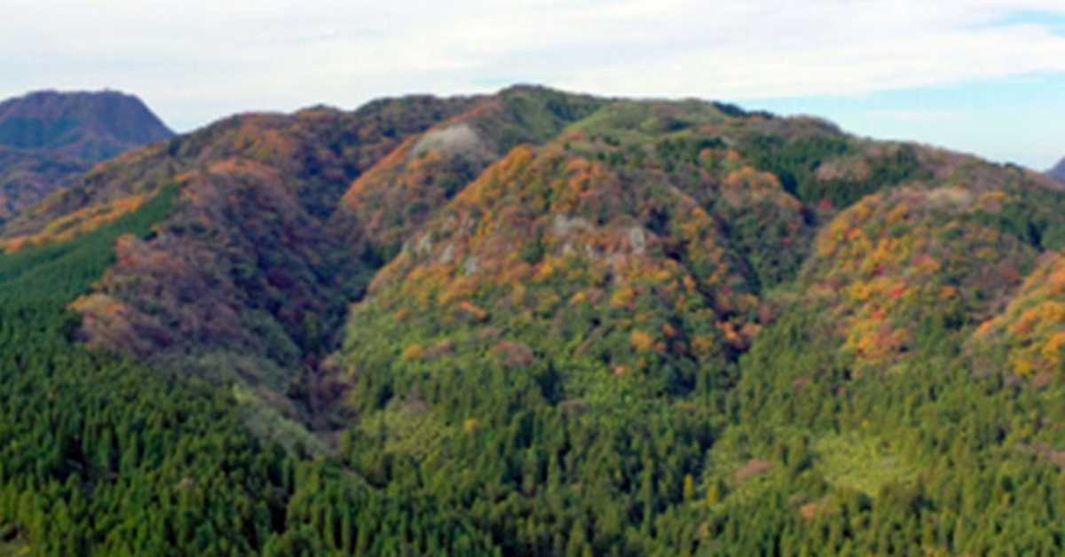 Светска културна баштина Јапана: Острво древне шуме, 5-5 