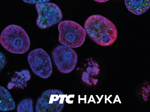 Прво и најстарије:	8 епизода