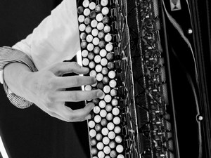 Век хармонике – Никола Ђорић