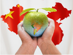 Српска јабука "добациће" до Кине, а спрема се и старт за јужноамеричко тржиште