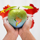 Српска јабука "добациће" до Кине, а спрема се и старт за јужноамеричко тржиште