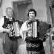 Хармонико, моја друго