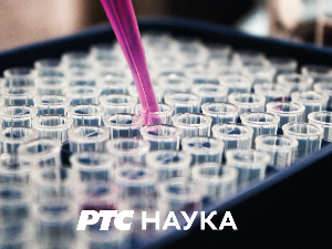 Нулта тачка: Интегративна психоанализа