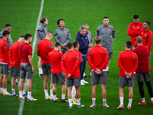 Селектор Србије Драган Стојковић објавио шири списак фудбалера за мечеве са Белгијом и Бугарском