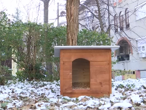  Због хладног времена на јагодинским улицама постављене кућице за уличне псе
