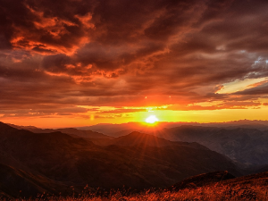 Летњи музички маратон 202: Ритам летњег јутра