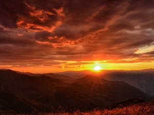 Ритам летњег јутра