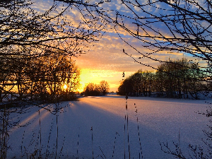 Зимско кулирање	