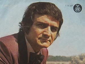 Портрет - Драган Токовић