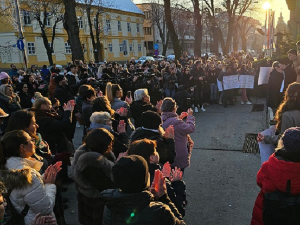 Протест у Сремској Митровици због акушерског насиља