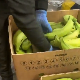 Колумбијска полиција пронашла 2,6 тона кокаина међу бананама, требало да заврши у Европи