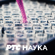 Образовна репортажа – Успешне школе: Да је споговац бити лако, споговац би био свако