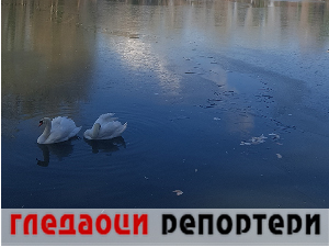 Гледаоци репортери 26. јануар 2024.