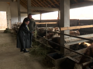 Савети Марине Гачић злата вредни шабачким пољопривредницима