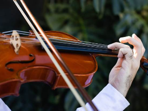 Владимир Спиваков, виолина  