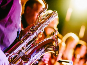 Концерт - Даме певају