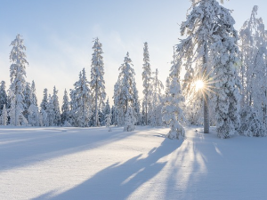 Зима као инспирација