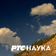 Светски: лекција 1 – Шишарица