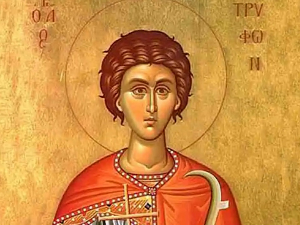 Свети Трифун – верује се да се данас завршава зима, обилазе се виногради