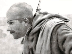 Око соколово Драгутина Матића 