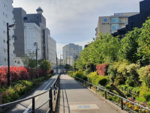 Вероника Шарова – Човек који шета (1)