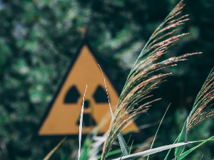 Зрачење у Чернобиљу и отпорност на рак